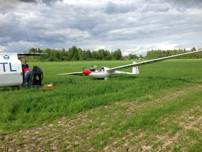 Manen eka pelto 2014.jpg